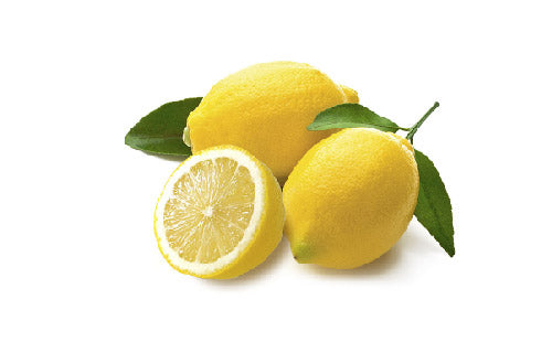 Citrus_limon