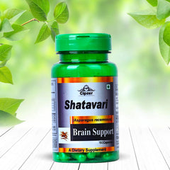 Shatavari brain support