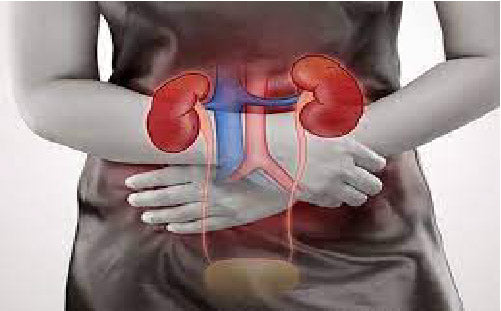 kidney_functioning