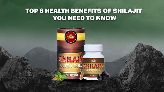 Top 8 Health Benefits of Shilajit You Need to Know