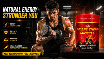Cipzer Shilajit Energy Gummies: A Modern Approach to Natural Energy and Vitality