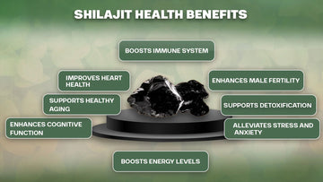 Top 8 Health Benefits of Shilajit You Need to Know