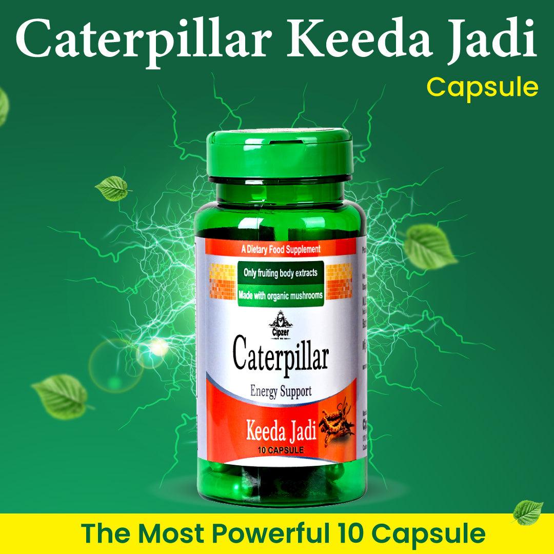 Caterpillar Keeda Jadi Energy Support Capsule 10's - Cipzer