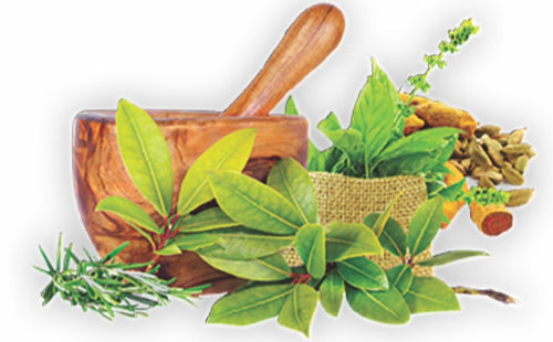 100_Ayurvedic_595a1e99-898e-4f02-b451-8520d4612902