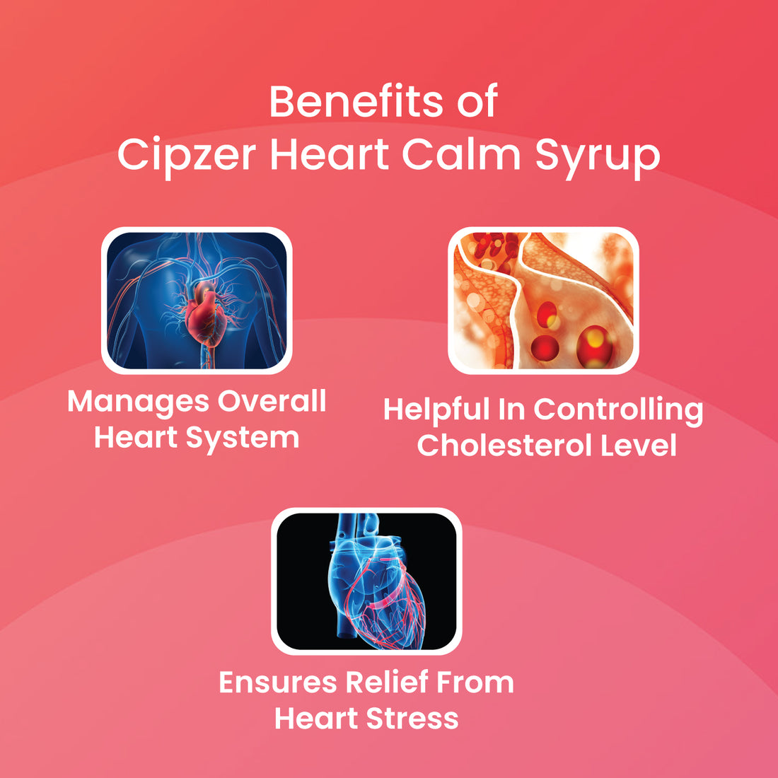 Cipzer Heart Calm Syrup 500 ML | Ayurvedic Heart Health & Cholesterol Support