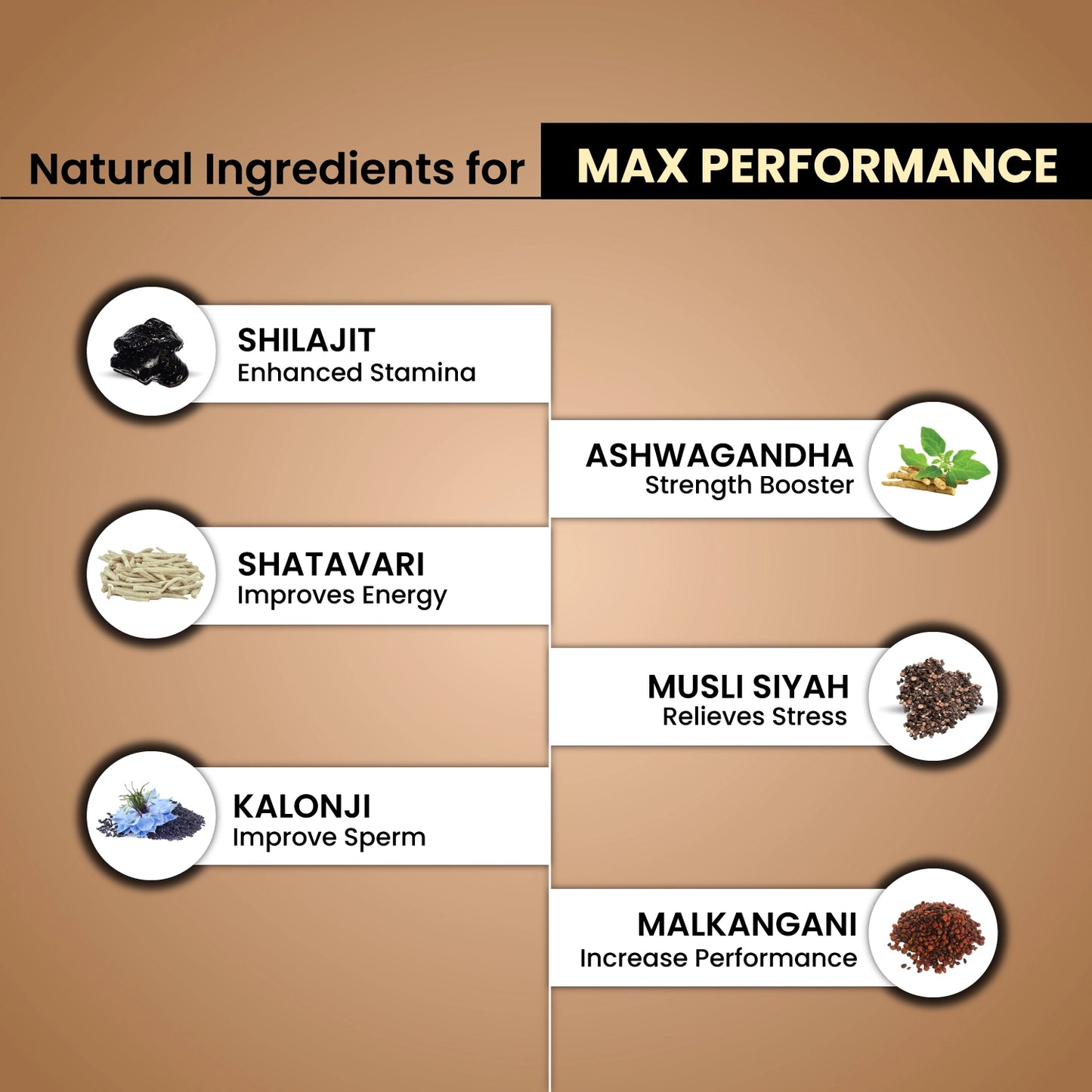 Shilajit Ultra Gold Capsule 30's