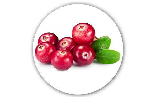 Cranberry