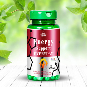 Energy Support Everyday