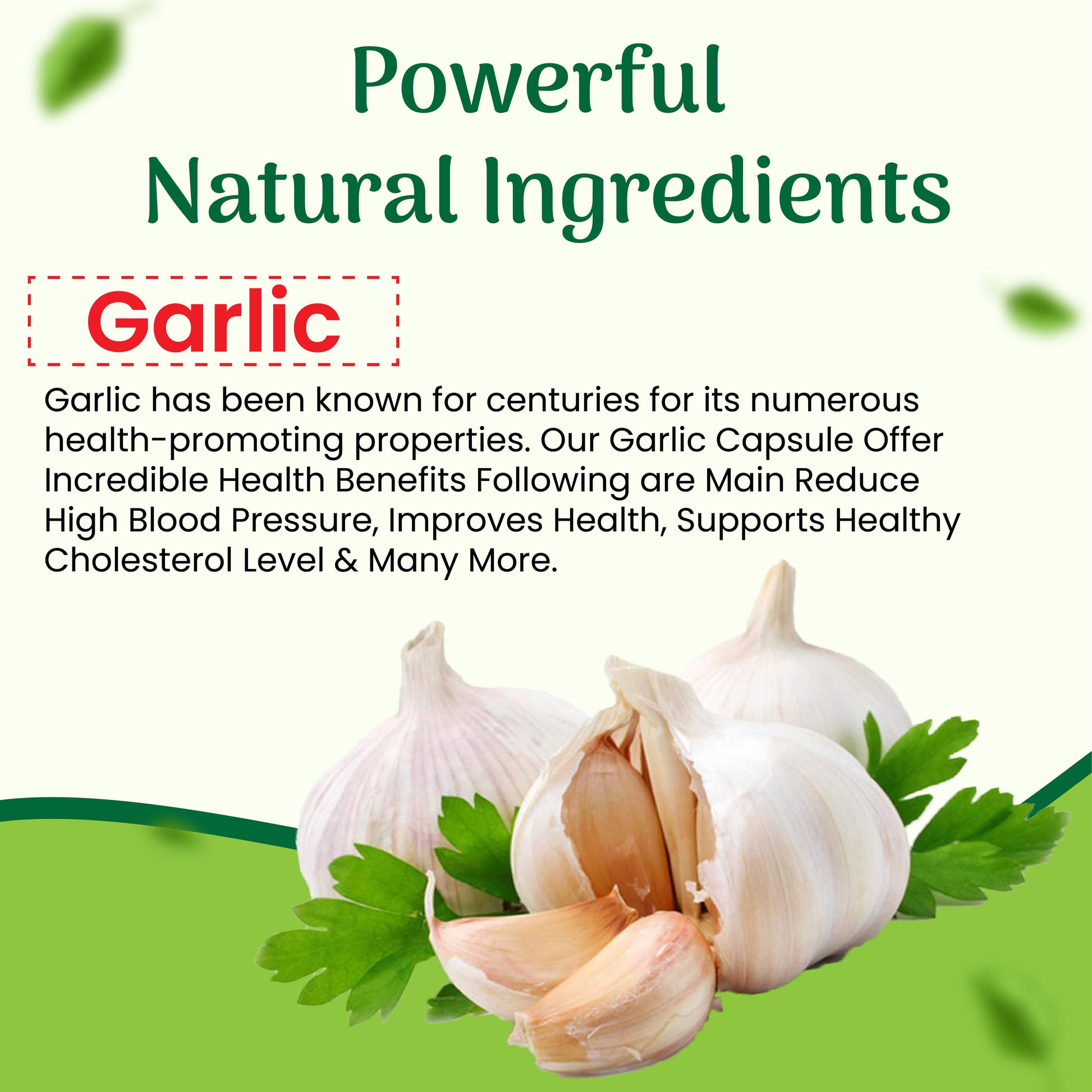 GARLIC SOFT GEL CAPSULE