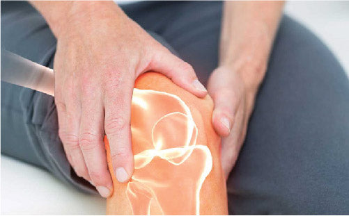 Strengthens_bones_ce7abc26-baaf-47ff-846b-bf1edd135ffe