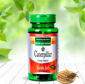 Caterpillar Keeda Jadi Energy Support Capsule 10's - Cipzer