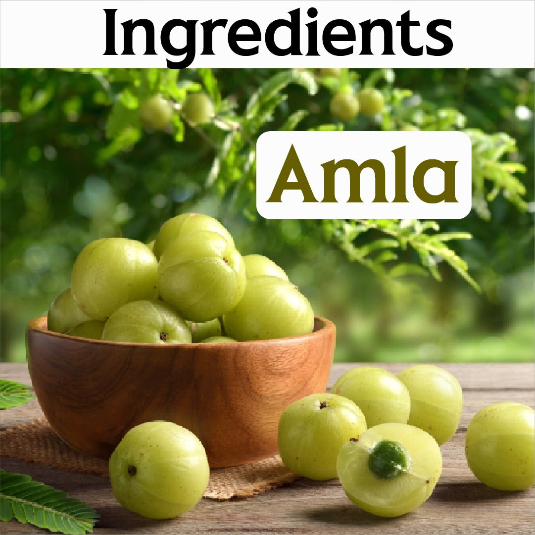 Roghan-e-Amla 100 ML