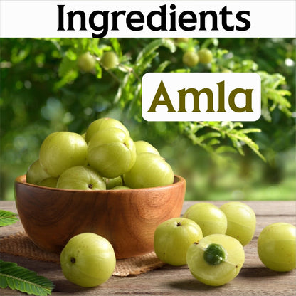 Roghan-e-Amla 100 ML