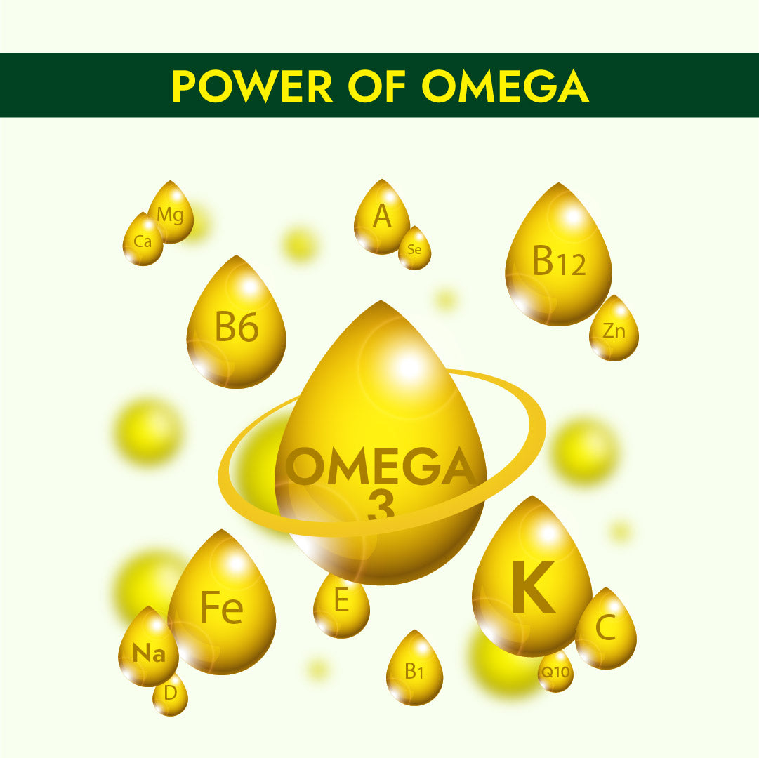 Omega 3 Fish Oil Soft Gel Capsule 60's