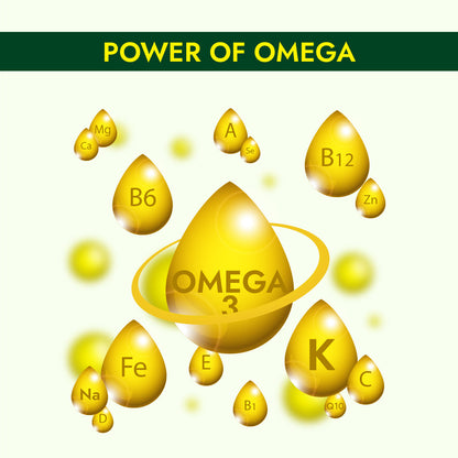 Omega 3 Fish Oil Soft Gel Capsule 30's